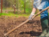 Choosing the Best Soil For Vegetable Garden